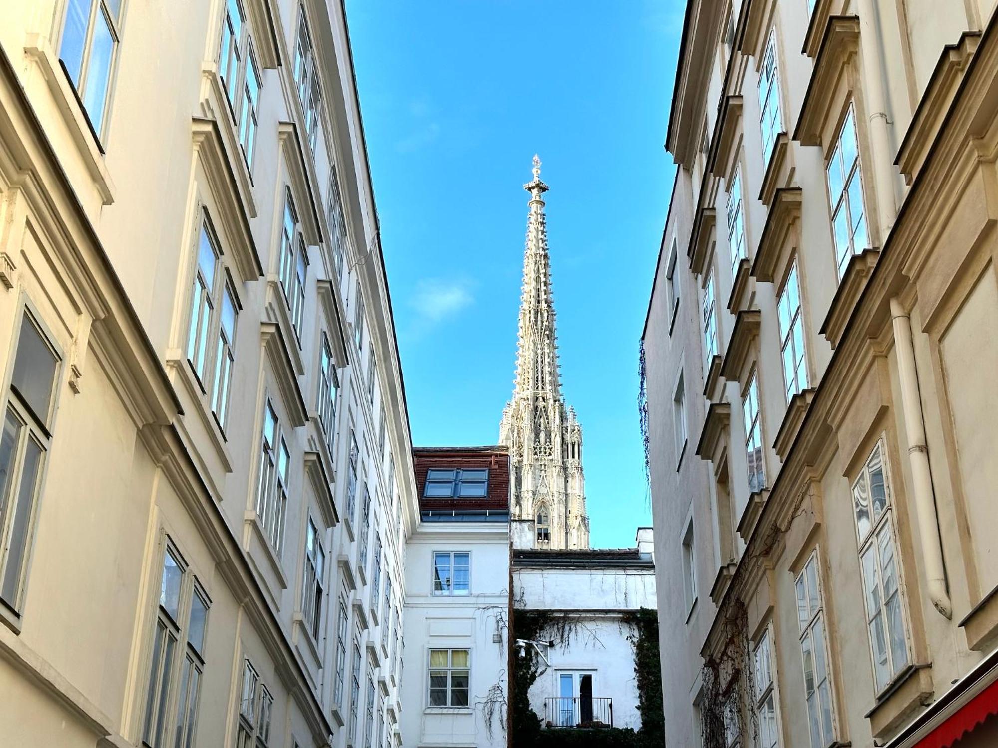 Central Stephansdom Apartment I Netflix I Self Check In Viyana Dış mekan fotoğraf